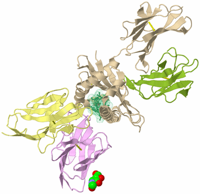 Image Biological Unit 2