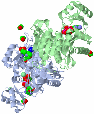 Image Asym./Biol. Unit