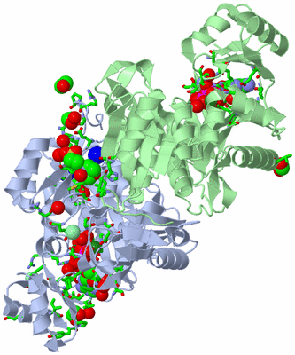 Image Asym./Biol. Unit - sites