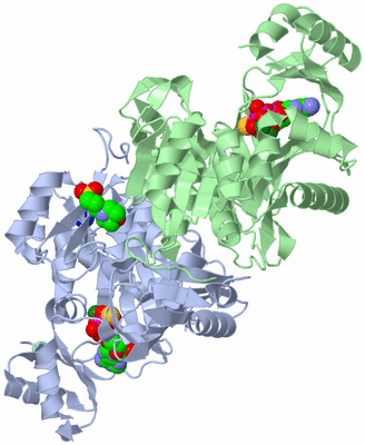 Image Asym./Biol. Unit