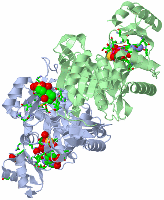 Image Asym./Biol. Unit - sites