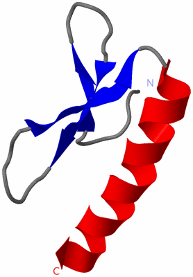 Image NMR Structure - model 1