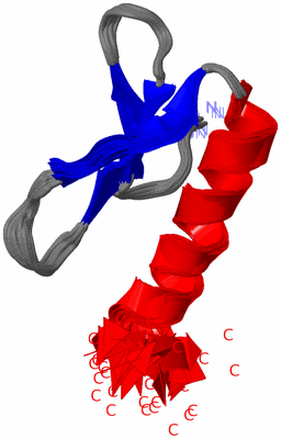 Image NMR Structure - all models