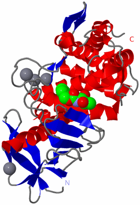 Image Asym./Biol. Unit