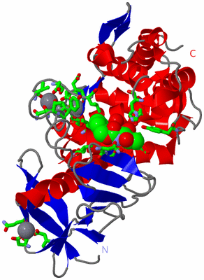 Image Asym./Biol. Unit - sites