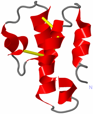 Image NMR Structure - model 1