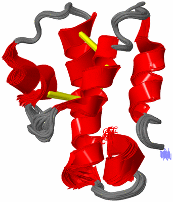 Image NMR Structure - all models