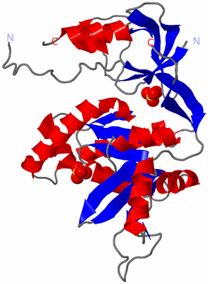 Image Asym./Biol. Unit