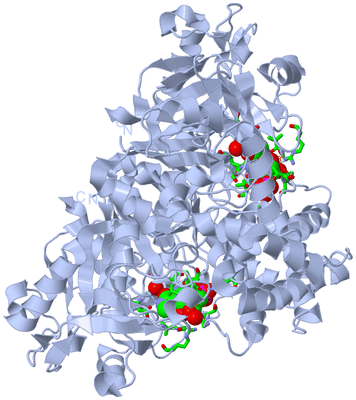 Image Biol. Unit 1 - sites