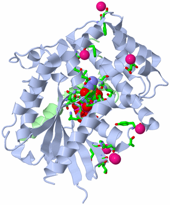 Image Biol. Unit 1 - sites