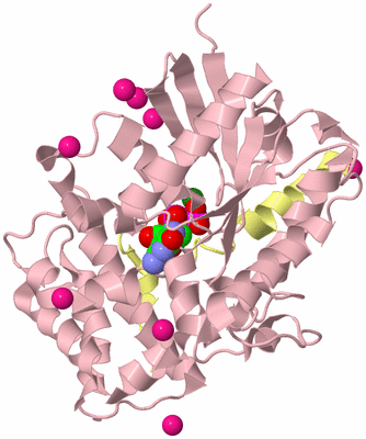 Image Biological Unit 2