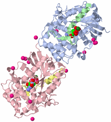 Image Biological Unit 3