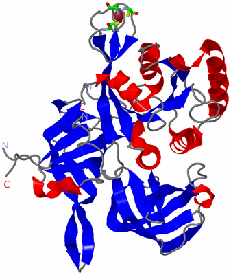 Image Asym./Biol. Unit - sites