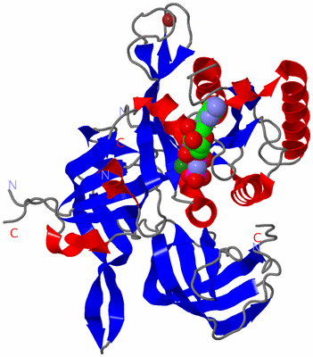 Image Asym./Biol. Unit