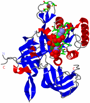 Image Asym./Biol. Unit - sites