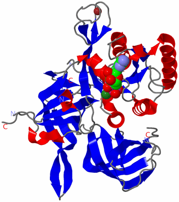 Image Asym./Biol. Unit