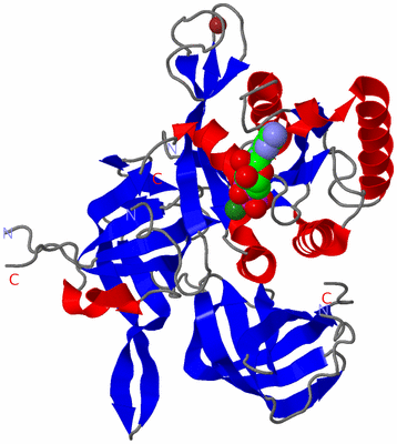 Image Asym./Biol. Unit