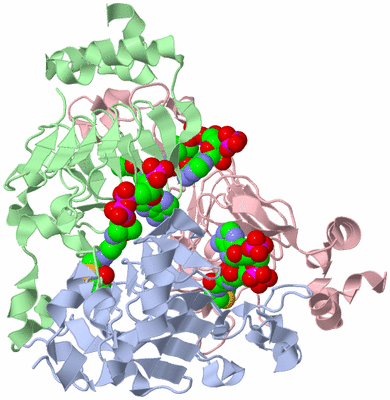 Image Biological Unit 1