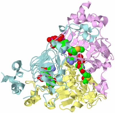 Image Biological Unit 2