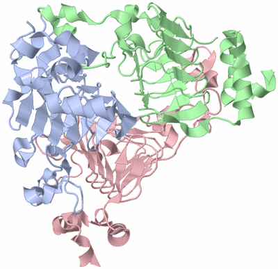 Image Biological Unit 1