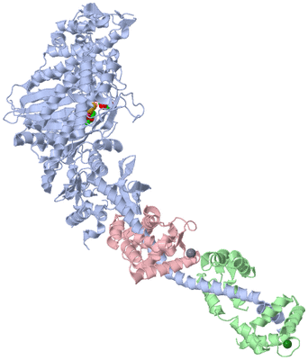 Image Asym./Biol. Unit