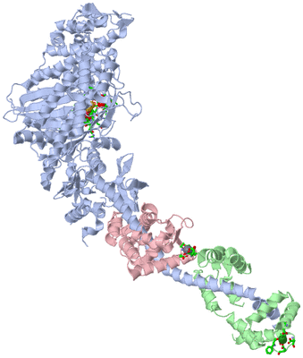 Image Asym./Biol. Unit - sites