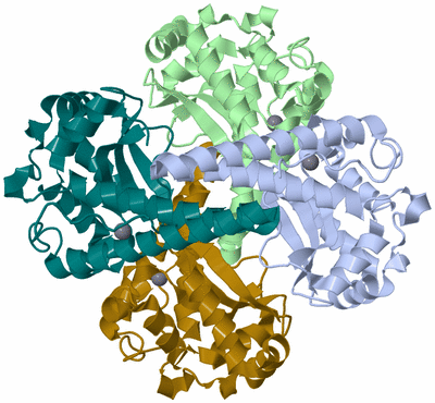 Image Asym./Biol. Unit