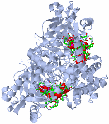 Image Biol. Unit 1 - sites