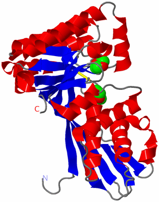 Image Asym./Biol. Unit