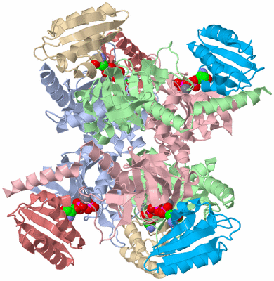 Image Biological Unit 1