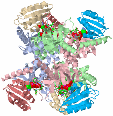 Image Biol. Unit 1 - sites