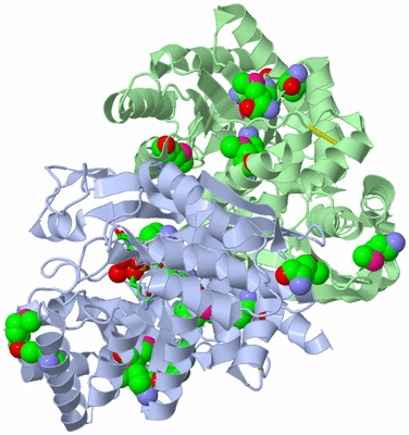 Image Asym./Biol. Unit - sites