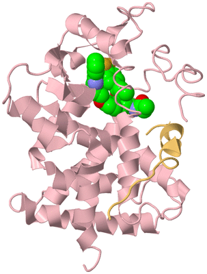 Image Biological Unit 3