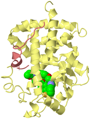 Image Biological Unit 4