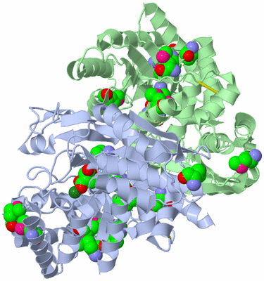 Image Asym./Biol. Unit