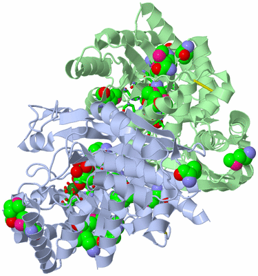 Image Asym./Biol. Unit - sites