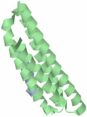 Image Theoretical Model