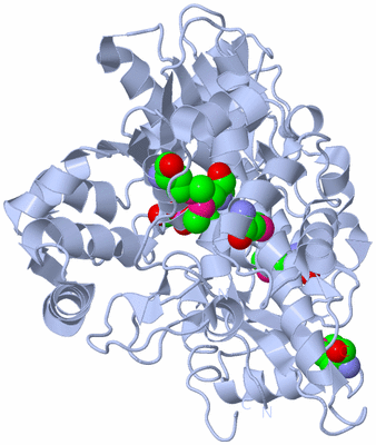 Image Biological Unit 1