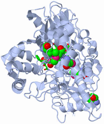 Image Biol. Unit 1 - sites