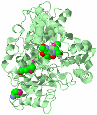 Image Biological Unit 2