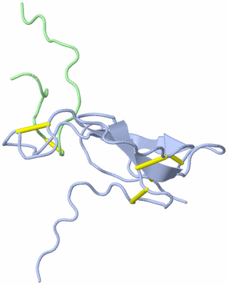 Image NMR Structure - model 1