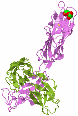 Image Biological Unit 7