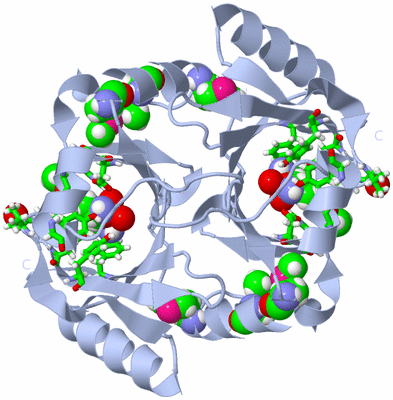 Image Biol. Unit 1 - sites