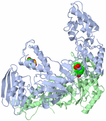 Image Asym./Biol. Unit