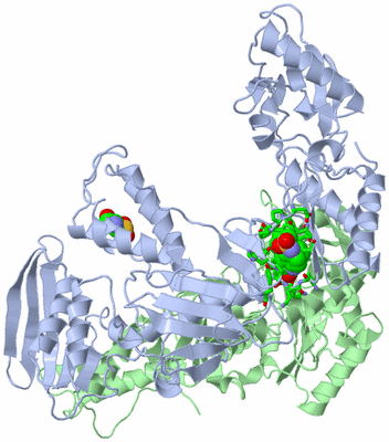 Image Asym./Biol. Unit - sites