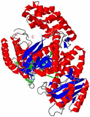 Image Asym./Biol. Unit