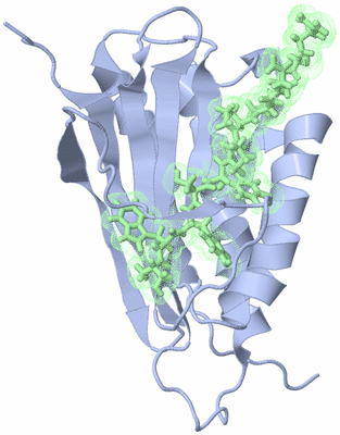 Image NMR Structure - model 1