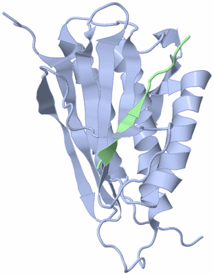 Image NMR Structure - all models