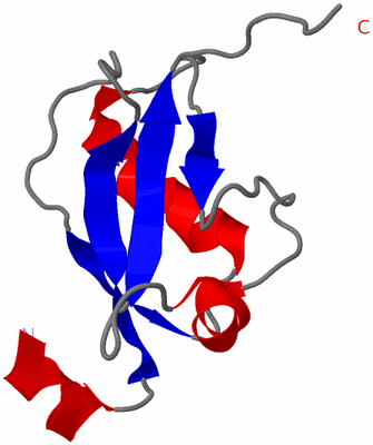 Image NMR Structure - model 1