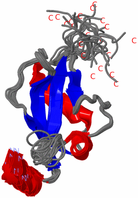 Image NMR Structure - all models